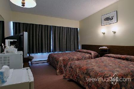 Dalewood Inn Port Mcneill Bagian luar foto